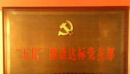 恭喜華新湘鋼水泥下屬支部獲得“五化” 獎(jiǎng)