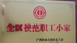 興業(yè)海螺質(zhì)量控制處工會小組榮獲“2019年全區(qū)模范職工小家”榮譽稱號