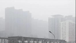 停工停產(chǎn)一個月！霧霾還是爆表！3000多家水泥企業(yè)“冤不冤”?