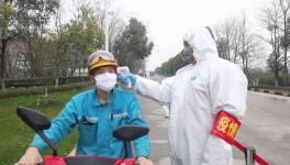 視頻：無人駕駛調(diào)試、大型設(shè)備組裝......蕪湖海螺復(fù)產(chǎn)！