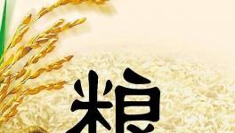 全球糧食市場(chǎng)異動(dòng)，每個(gè)人都要提前應(yīng)對(duì)了！