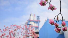 春色滿廠區(qū)，花園水泥廠來(lái)了??！