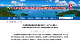 8死1傷事故，5名公職人員涉違紀被調(diào)查！