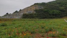 這家水泥企業(yè)喜獲2800萬(wàn)噸石灰?guī)r礦采礦權(quán)！