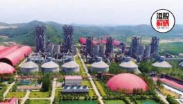 行情回暖！水泥量價齊升博反彈！