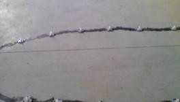 發(fā)明！自我修復混凝土，房子200年不裂！