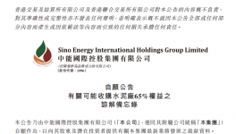 中能國際控股擬收購一家水泥廠65%股權(quán)！