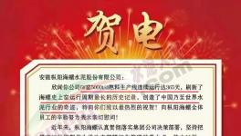 又是海螺水泥！創(chuàng)造世界水泥行業(yè)奇跡！