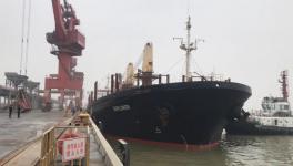 又有一船進口熟料共42600余噸卸載完成！