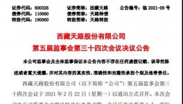 西藏天路股份有限公司高管人員任職大變動！