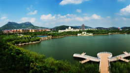 山東省棗莊市51條水泥立窯生產線全部關停！