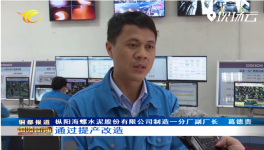 海螺水泥子公司提產(chǎn)技改，實現(xiàn)銷售收入138.28億元！