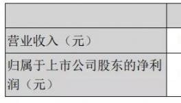天山股份年報(bào)：2020年實(shí)現(xiàn)凈利潤(rùn)15.16億元！