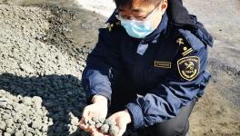 順利通關(guān)！4萬多噸韓國熟料進入中國！