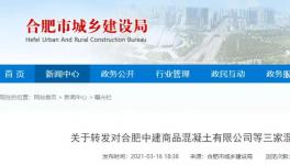 連發(fā)多起安全事故！三家混凝土企業(yè)被處理！