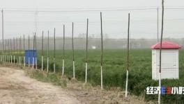 水泥墻里塞泡沫？投資千萬“樣子工程”！