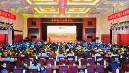 中建材在全球承接379條水泥生產(chǎn)線、市場占有率超過65%！