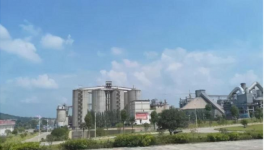 水泥行業(yè)的“華為”，一年凈賺300億！