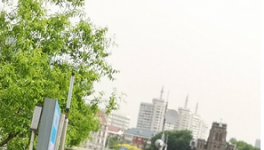 天津礦山多姿多彩慶黨百年華誕！