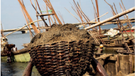 年耗500億噸，沙子快不夠人類使用了！