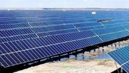 跨界投資！有關(guān)海螺、塔牌、紅獅等水泥集團！