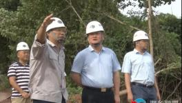 南方水泥上半年營收3.65億元！新項目推進中！