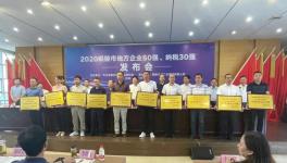 銅陵上峰:連續(xù)9年上榜“地方企業(yè)50強(qiáng)”！