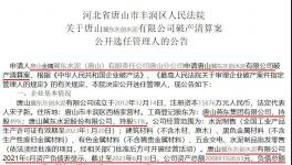 冀東水泥旗下公司破產(chǎn)清算！選聘專業(yè)機(jī)構(gòu)