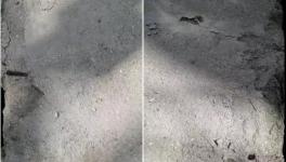 春江豐華水泥質(zhì)量不合格！多地監(jiān)管部門全面督查！