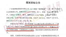 塔牌集團煤炭采購通知！