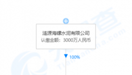 加速收購！海螺水泥在下一盤大棋！