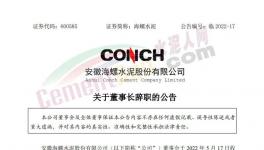 海螺水泥公告：王誠不再擔(dān)任公司法定代表人！