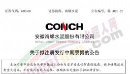 海螺水泥擬發(fā)行不超100億票據(jù)！