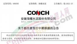 缺錢！海螺子公司“架空”！“借錢”100億 ！