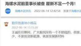 海螺蒸發(fā)1300億，逾700億元投資或存變數(shù)！