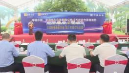 ?總投資額4775萬元！華潤水泥光伏項目開工?！