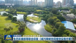 環(huán)保政策加嚴(yán)！氨逃逸不超標(biāo)這些企業(yè)做到了！