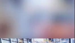 殺公雞！開窯！水泥廠“辟邪”！