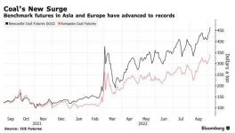 瘋了！這種原料價格破紀(jì)錄！水泥廠“哭了”！