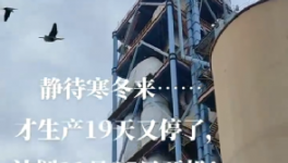 全停！最長(zhǎng)200天！20個(gè)省水泥廠停產(chǎn)！