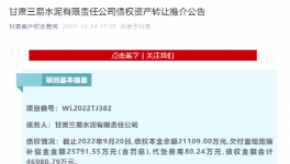 公告！多家水泥廠被賣！