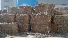 創(chuàng)收40萬(wàn)/天！替代燃料降本火了！