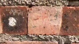 氣憤！“山寨”水泥！“假水泥”泛濫！