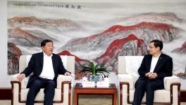 太慘了！大跌235元/噸！水泥產(chǎn)量創(chuàng)10年最大跌幅！