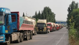 ?水泥廠又排隊了！原因竟是……