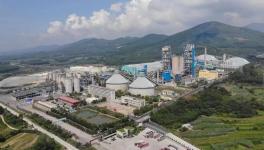 這家水泥企業(yè)今年前4個月，水泥產量同比增長30%!