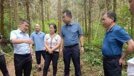 海螺水泥遷建項目有序推進中！