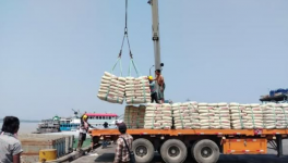 3000噸進(jìn)口水泥抵達(dá)，這一地區(qū)水泥降價(jià)！