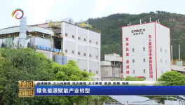 海螺水泥兩家工廠同一天都上電視啦！